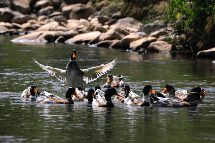 凯发·k8(中国游)官方网站